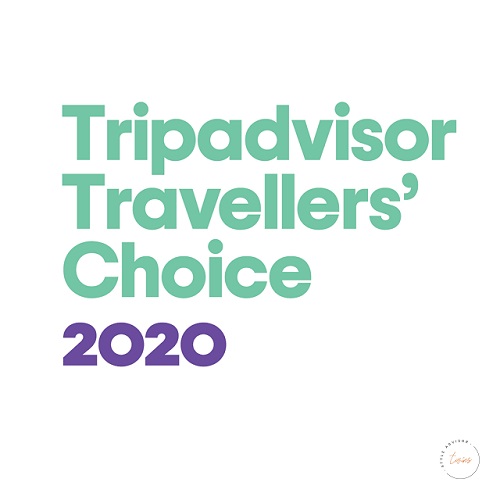 Logo Style Advisor Twins