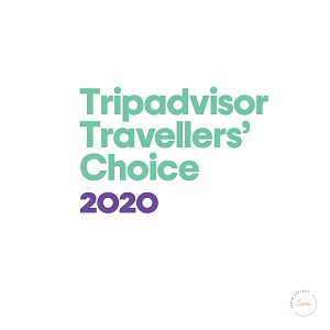 Tripadvisor Award Style Advisor Twins